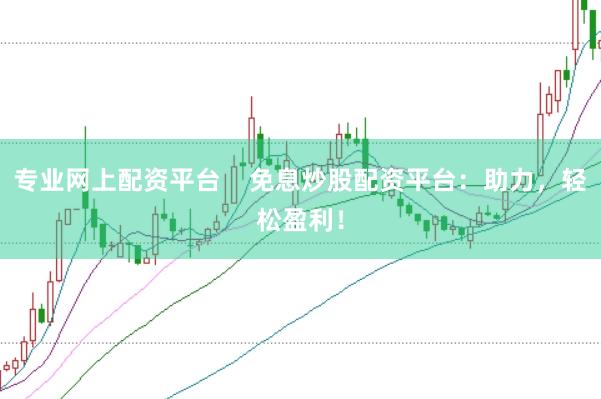 专业网上配资平台    免息炒股配资平台：助力，轻松盈利！