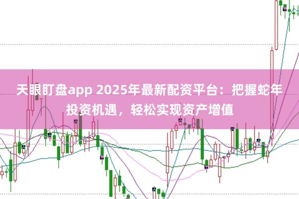 天眼盯盘app 2025年最新配资平台：把握蛇年投资机遇，轻松实现资产增值