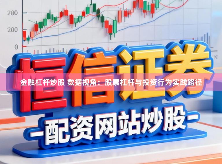 金融杠杆炒股 数据视角：股票杠杆与投资行为实践路径